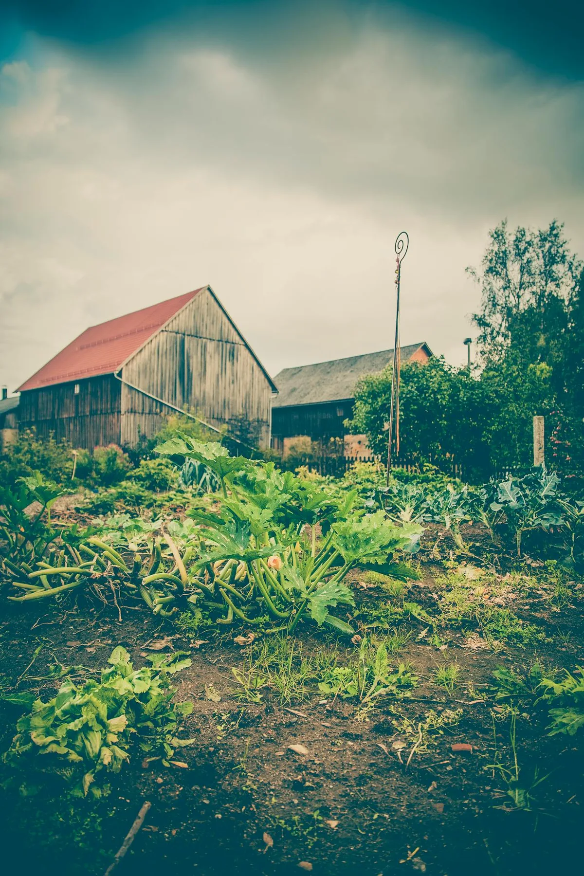 Potager en avril en Bretagne — semis et plantations au jardin de la Ferme de Lezavarn